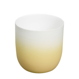 Bolsius theelichthouder keramiek caramel gold 75 70mm