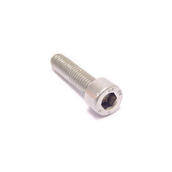 Bofix Inbusbout M5 x 30 RVS (25 stuks)