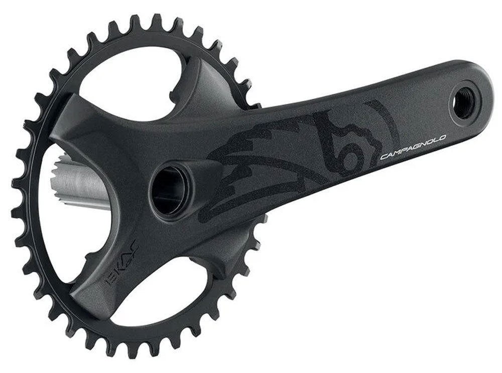 Campagnolo ekar gt 1x13-speed crankset 38t | 175mm