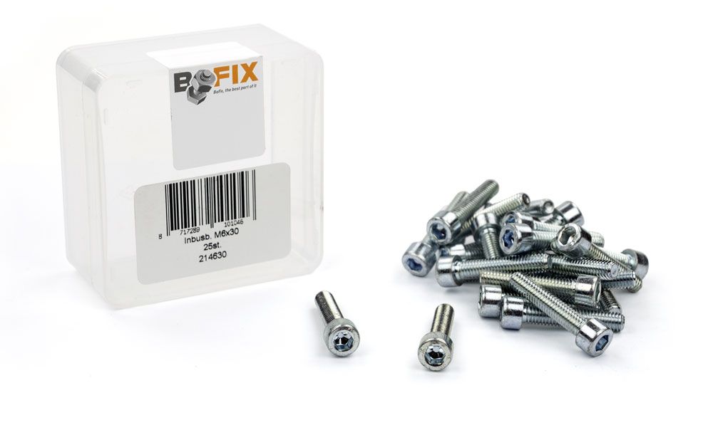 Bofix bout xtrabike inbus m6x30 staal