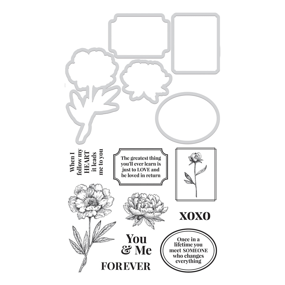 Kaisercraft • decorative die stamp you me