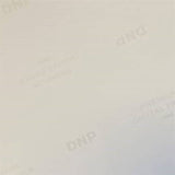 DNP Standaard Papier DSRX1HS-4X6 2 Rol � 700 St. 10x15 voor DS-RX1HS