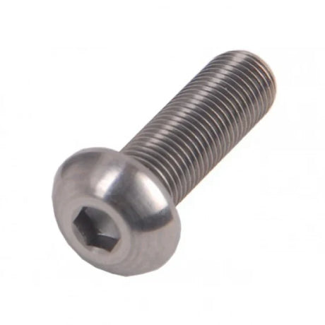 Roveba bolkop inbusbout m6 x 20 rvs (25) - 462620
