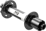 Dt swiss 350 classic fatbike disc 6-bolt 12x197mm rear hub