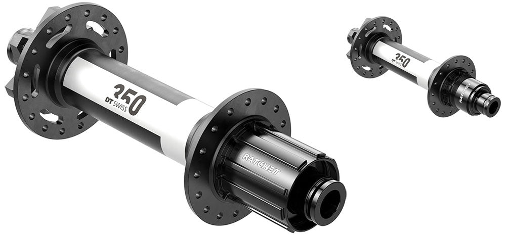 Dt swiss 350 classic fatbike disc 6-bolt 12x197mm rear hub