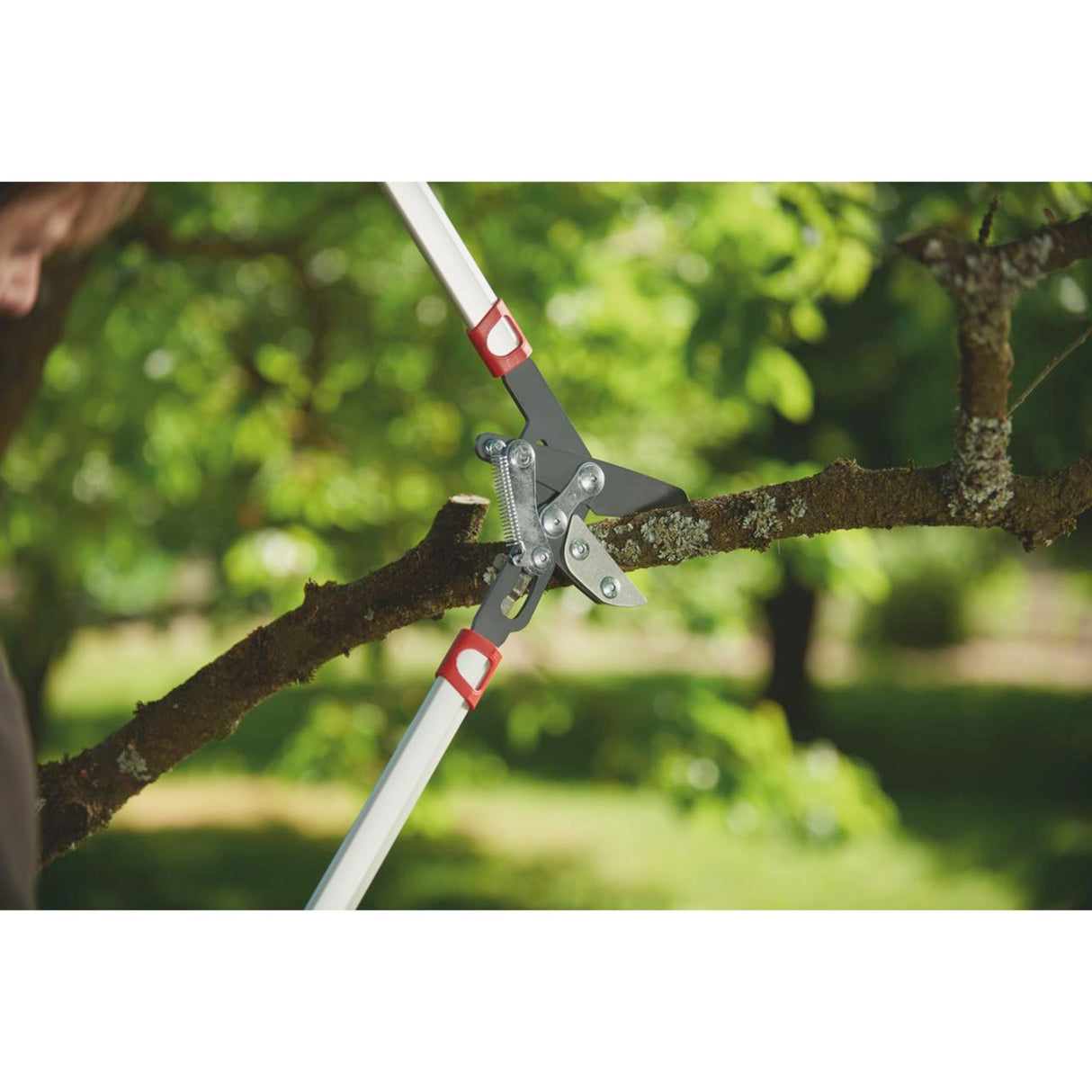 Wolf-garten power cut rs 800 v takkenschaar (rood zilver)