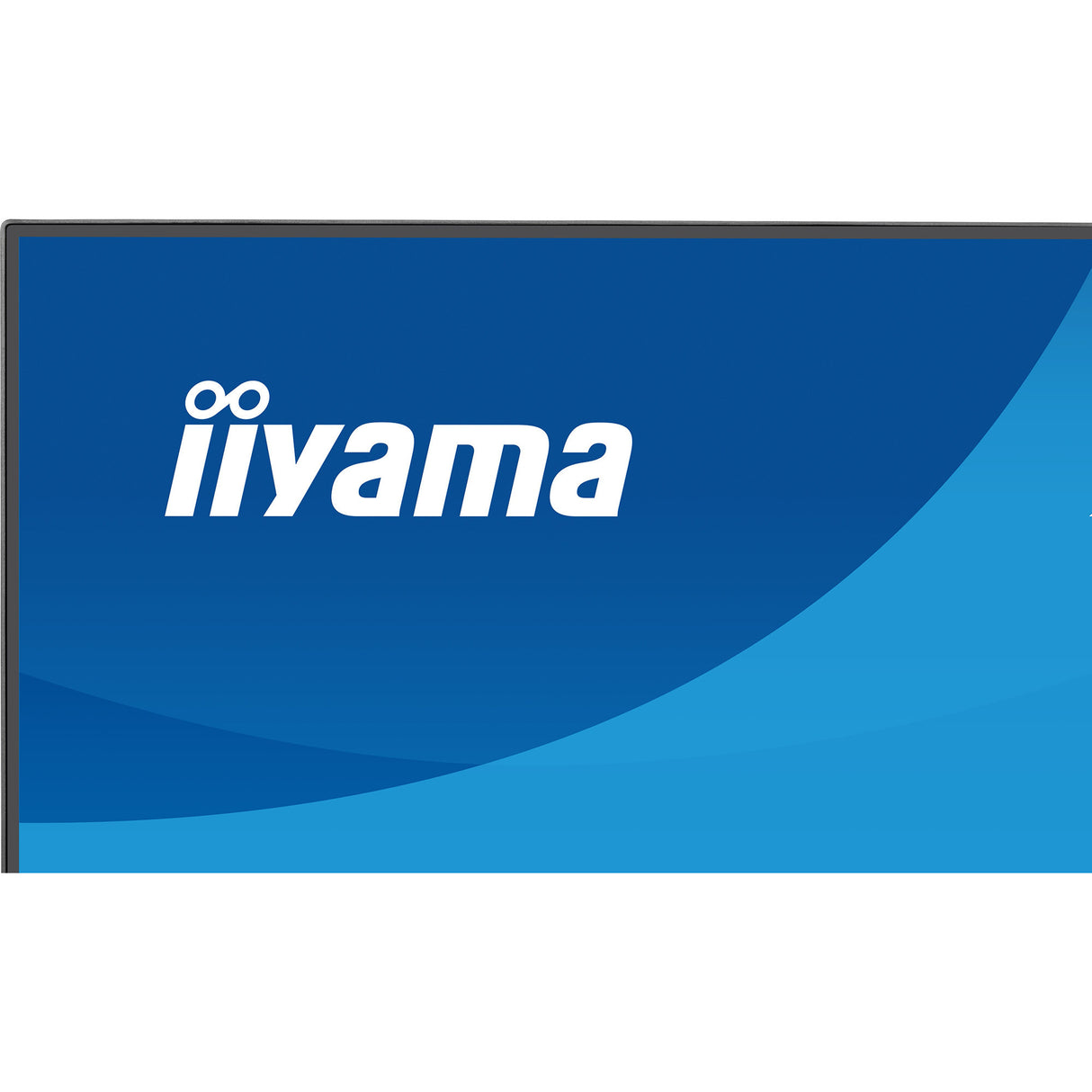 Iiyama prolite x2493hsu-b1 23.8 monitor (zwart (mat), 120 hz, hdmi, displayport, usb, audio)