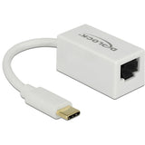 Delock superspeed usb-c (usb 3.1 gen 1) male > gigabit lan 10 100 1000 mbps compact adapter (wit, 0,135 meter)