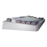 Hator rockfall 3 tkl wireless rgb mechanisch gaming toetsenbord (wit, us lay-out (qwerty), hator aurum orange, 80% (tkl), rgb, pbt keycaps, hotswap, 2.4 ghz bluetooth usb-c)
