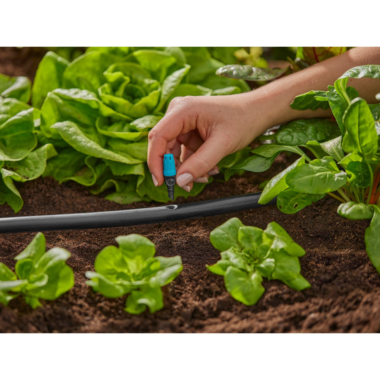 Gardena sproeier voor kleine oppervlakken (zwart turquoise, 10 stuks)
