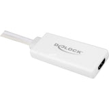 Delock vga (male) + usb-a (male) naar hdmi (female) adapter (wit, 0,25 meter)