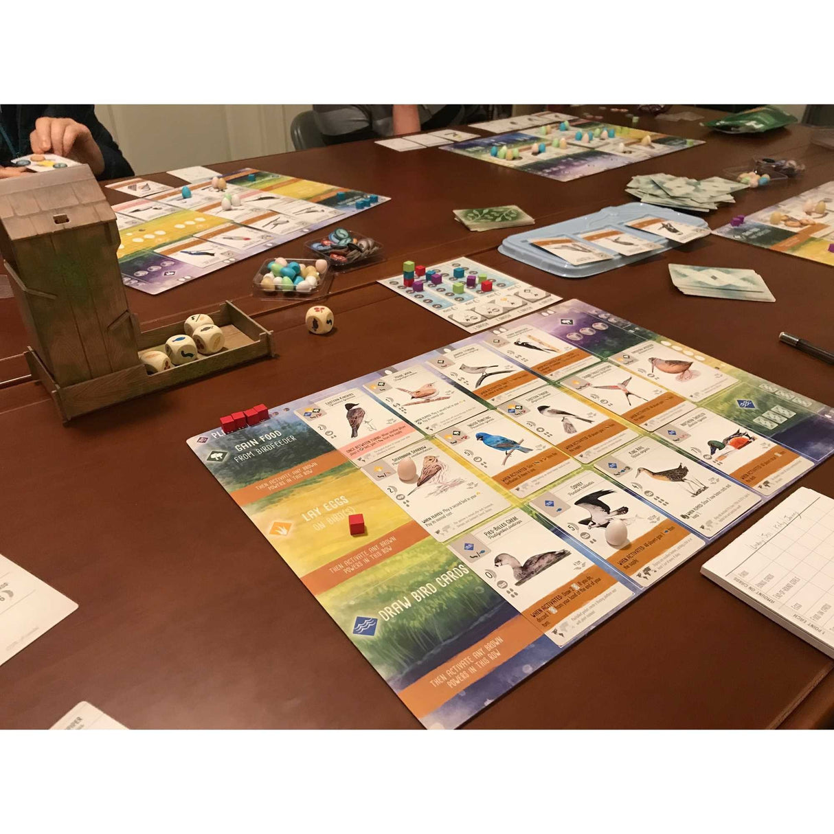 Asmodee wingspan - engelstalig bordspel