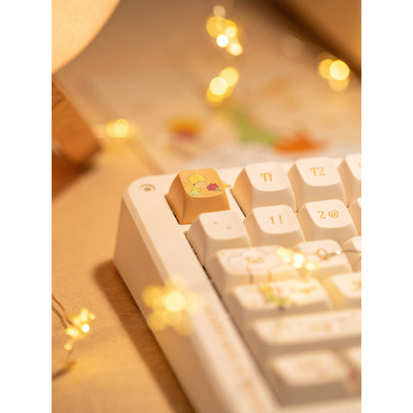 Iqunix zx75 sunset ponder wireless mechanical keyboard (lichtgeel, us lay-out (qwerty), iqunix little prince, 75%, rgb leds, hot-swappable, double-shot pbt, 2.4ghz | bluetooth 5.1 | usb-c)