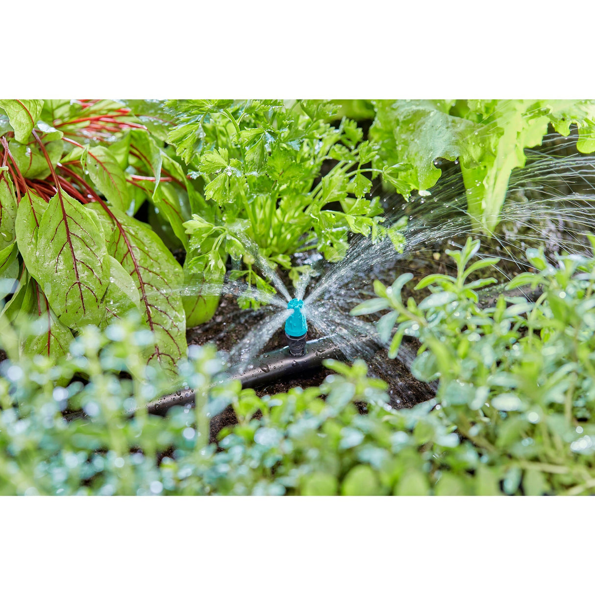 Gardena sproeier voor kleine oppervlakken (zwart turquoise, 10 stuks)