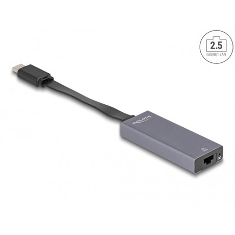 Delock usb-c > 2.5 gigabit lan slim netwerkadapter (grijs)