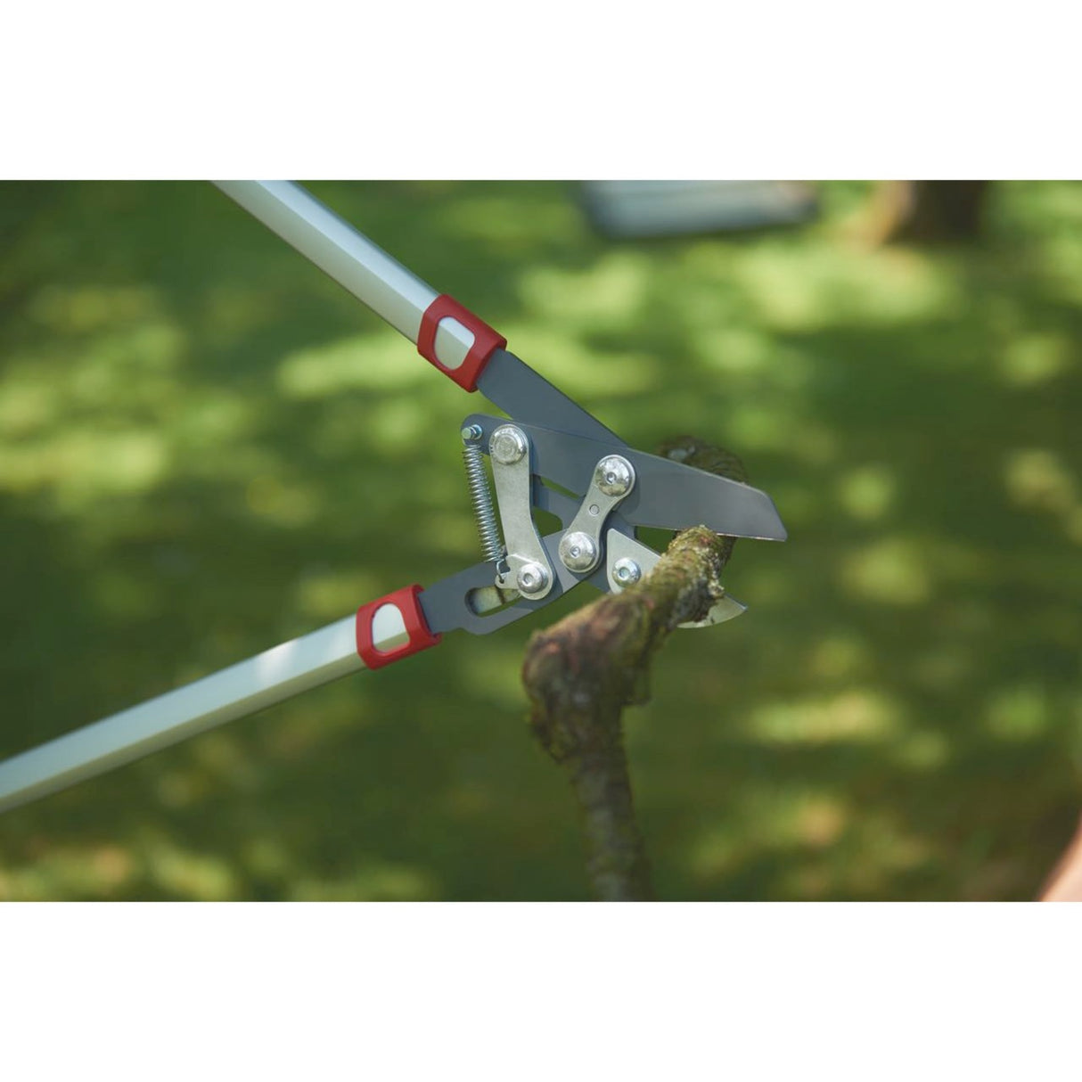 Wolf-garten power cut rs 800 v takkenschaar (rood zilver)