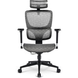 Sharkoon officepal c40m stoel (grijs)