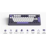Iqunix og80 lavandin wireless mechanical keyboard (lavendel, us lay-out (qwerty), cherry mx brown, 80% (tkl), hot-swappable, pbt, 2.4ghz | bluetooth 5.1 | usb-c)