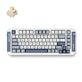 Mchose x75 navy blue icy creamsicle wireless gasket mount mechanical rgb toetsenbord (wit, us lay-out (qwerty), kailh box icy creamsicle, 75%, rgb, hot swap, double-shot pbt, draadloos | bluetooth | usb-c)