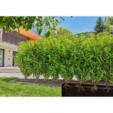 Gardena micro-drip-bewatering heggen struiken set (50 m) druppelaar (zwart)