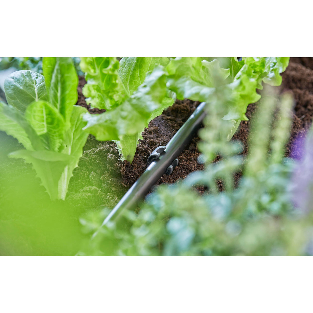Gardena micro drip system buishouder - 13 mm (1 2 ) - 10 stuks
