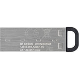 Kingston datatraveler kyson 64 gb usb-stick (zilver, dtkn 64gb)