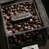 Delonghi koffiemolen kg89 (zilver)