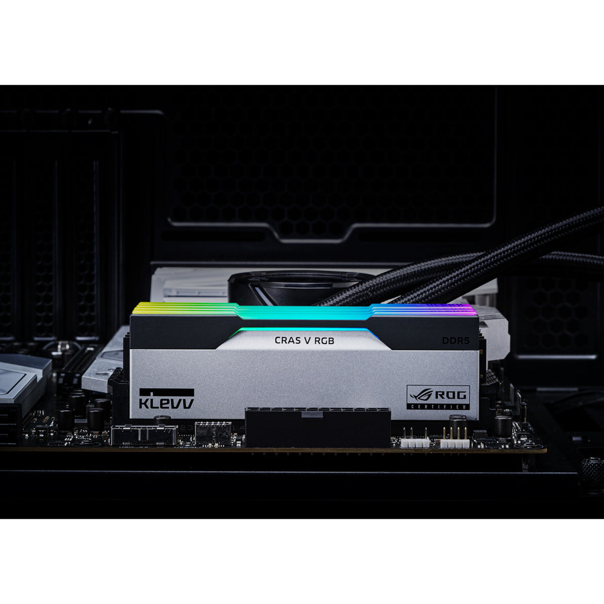 Klevv 32 gb ddr5-6200 (2x 16 gb) kit werkgeheugen (wit zwart, kd5agua80-62b320p, cras v rgb rog, xmp 3.0, expo)