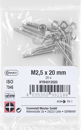 Connex metaalschroef pk m2,5x20 vz ph 20st - kyb4012520