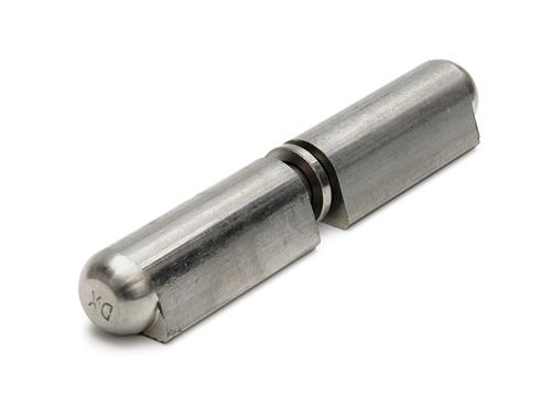 Laspaumelle 100x16mm rvs