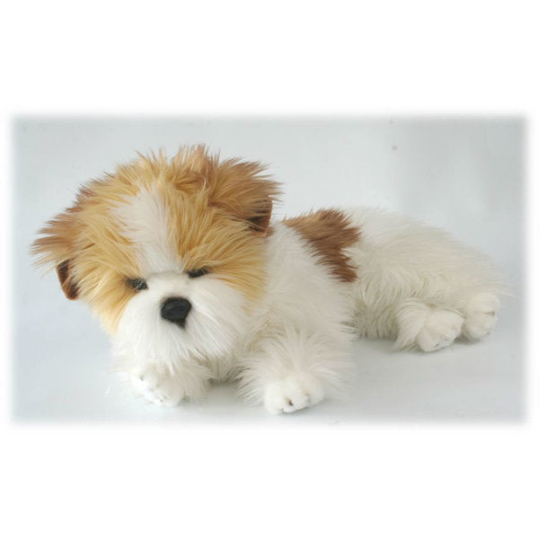 Liggende Belgische Terrier 40cm