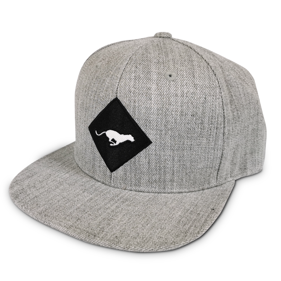Luypaers snapback cap grey