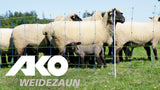 Ako producten vervangende paal voor schapennet titan enkele pen 90cm