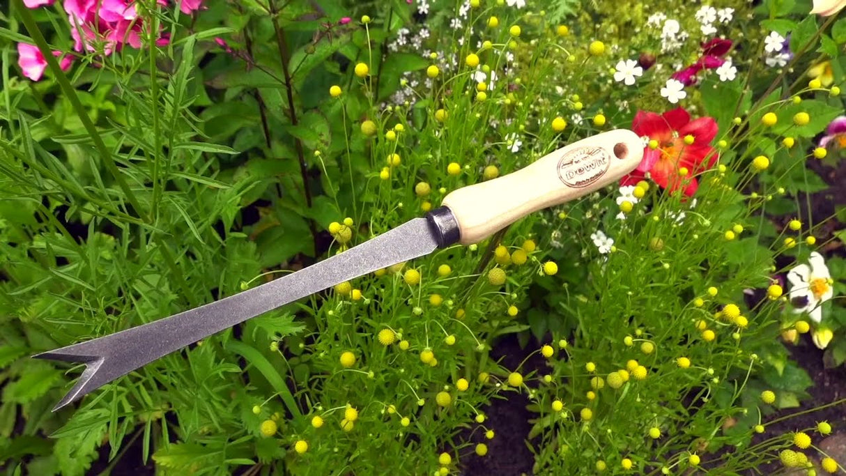 De wit producten bio paardenbloemsteker essen handvat 14cm stardewitstar