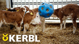 Producten voeder speel bal blauw