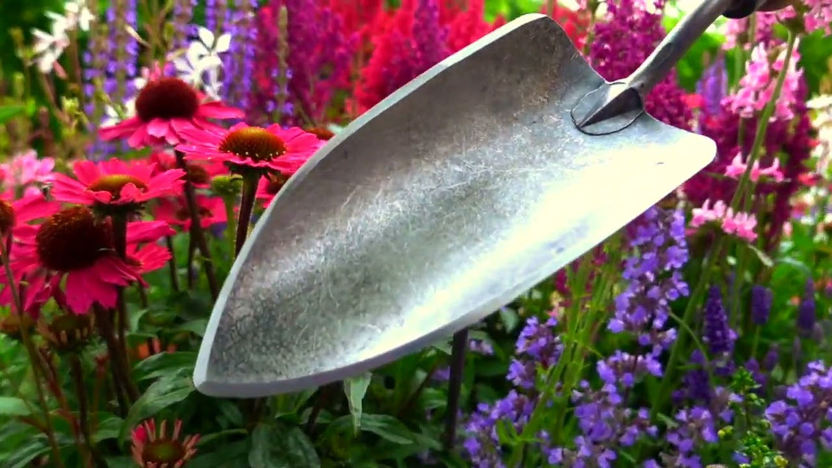 De wit producten plantenschepje x treme essenhandvat 14cm stardewitstar