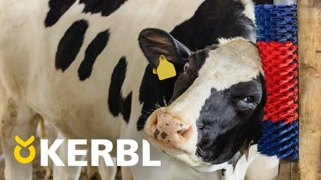 Producten halfronde koeborstel veeborstel blauw rood xl