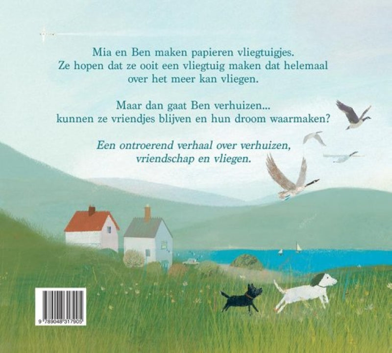 Veltman papieren vliegtuigjes