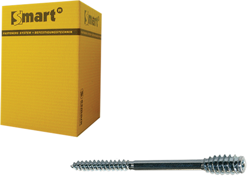 Pgb-europe smart | afstandschroef t-drive t25 ø 6x100 zn | 50 st - sm0ssc0010601003