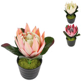 Kunstplant in pot protea 21 cm 3 assorti | 12 stuks