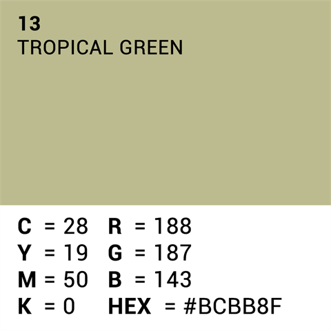 Superior Achtergrondpapier 13 Tropical Green 1,35 x 11m