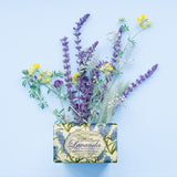 Nesti dante lavanda blu del mediterraneo zeep 150gr.
