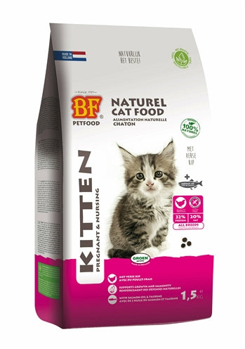 Bf petfood Premium quality kat kitten pregnant nursing