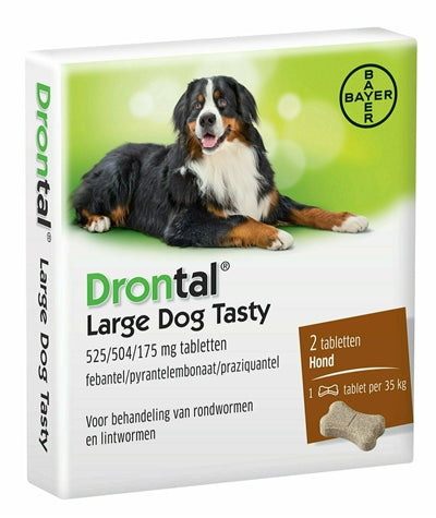 BAYER TRANSENT LASKAACHT DOG DOG