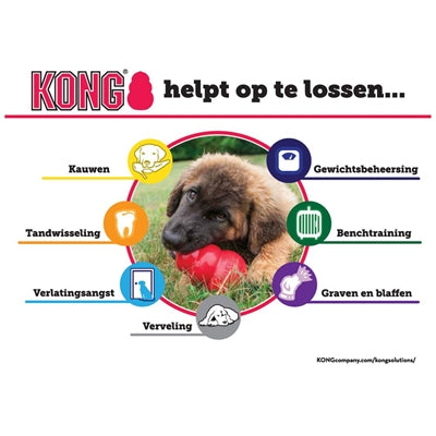 Kong Kong rood