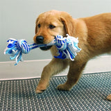 Kong Rope tug puppy assorti