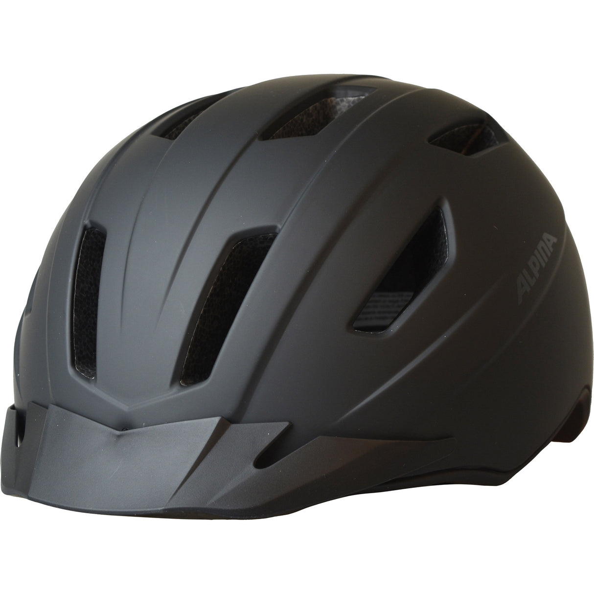 Alpina casque Tajo speedpedelec zwart mat 52-57