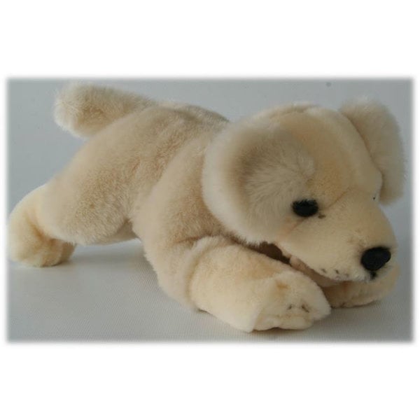 Golden Retriever pup 29 cm