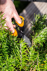 Masterclass Kruidenschaar 15 cm RVS rubber zwart oranje